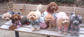 �t���[��